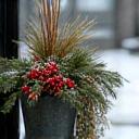 Decorative winter planter arrangement